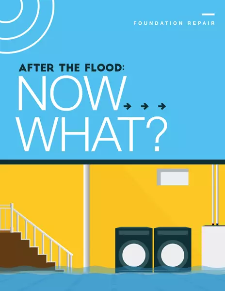 After the Flood: Now What