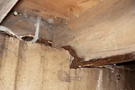 Rotten Floor Joists in Crawl Space