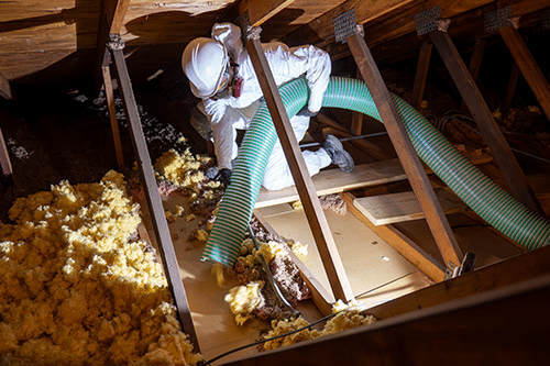 Attic Insulation Removal Chicago