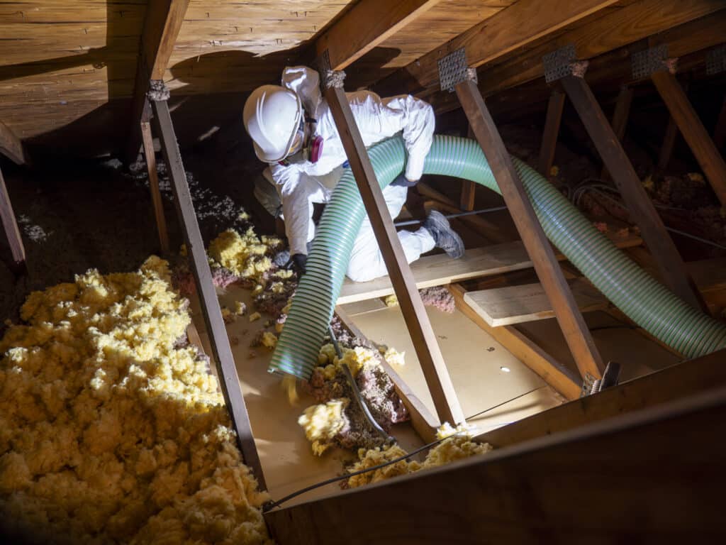 Attic Insulation Removal