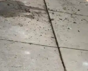 Concrete Lifting and Leveling Services in Chicago