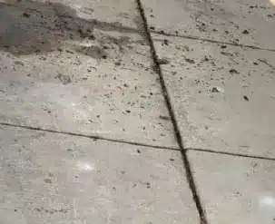 Concrete Lifting and Leveling Services in Chicago