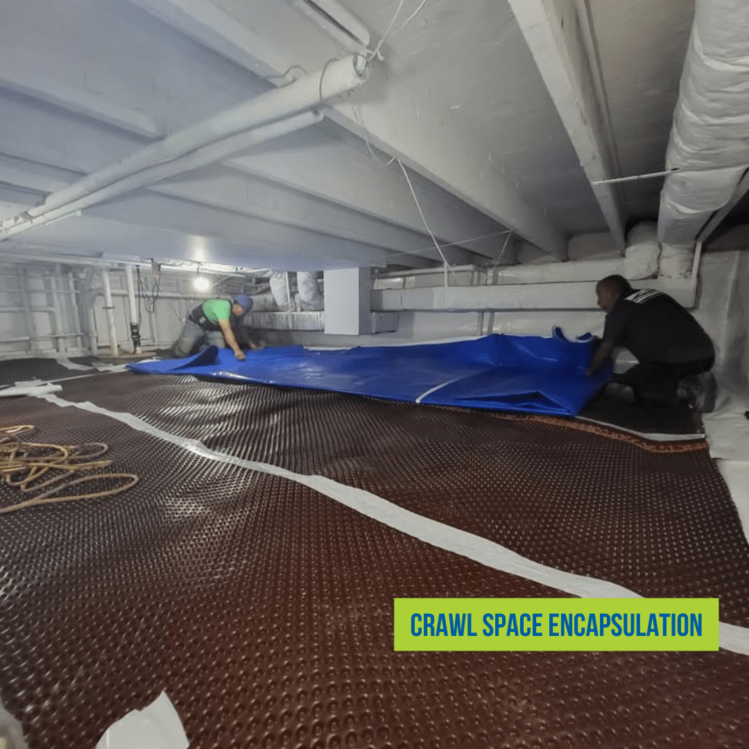 Crawl Space Encapsulation and Rim Joist Insulation in Chicago