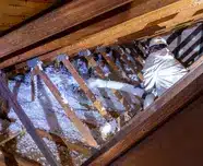 attic insulation