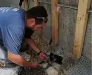 Plumbing<br />Services