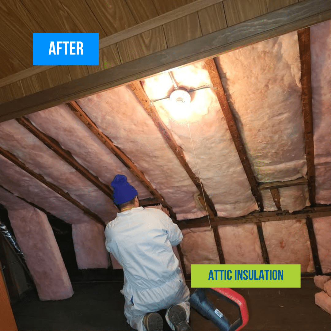 Attic Insulation After Chicago