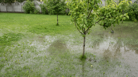 Yard Drainage