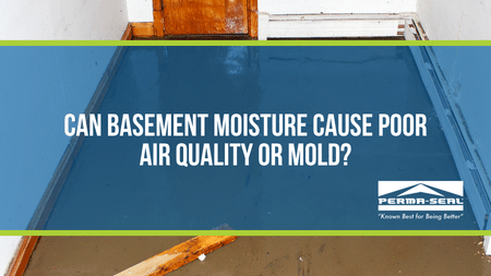 Can Basement Moisture Cause Poor Air Quality or Mold?