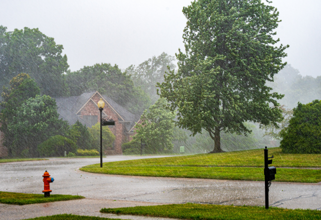 Rainstorm
