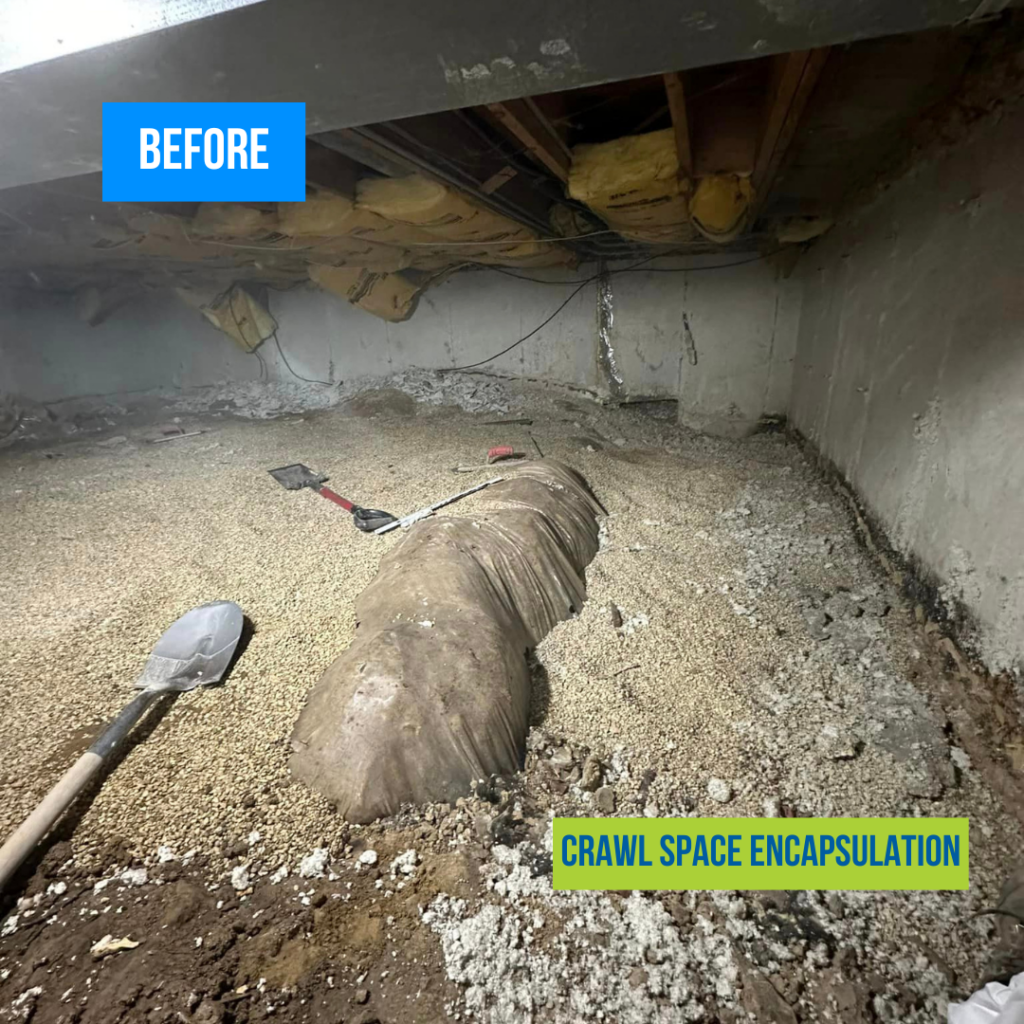 Crawl Space Encapsulation Before