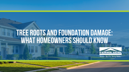 Tree Roots and Foundation Damage: What Homeowners Should Know